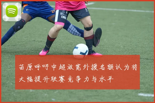 苗原呼吁中超放宽外援名额认为将大幅提升联赛竞争力与水平