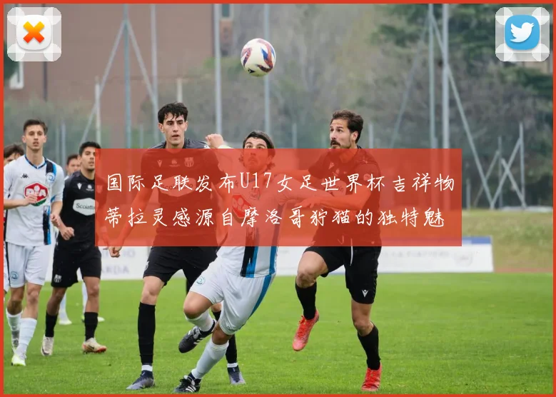 国际足联发布U17女足世界杯吉祥物蒂拉灵感源自摩洛哥狞猫的独特魅力