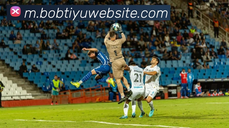 BOB体育发展历程